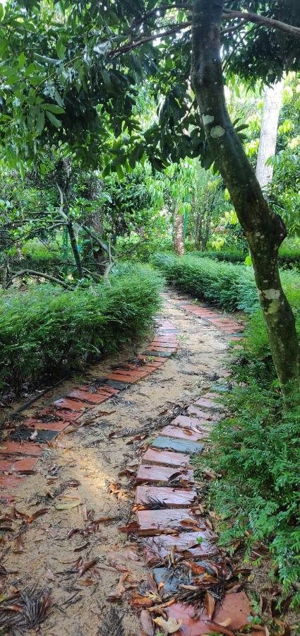 The Vintage Chikmagalur Leilighet Eksteriør bilde